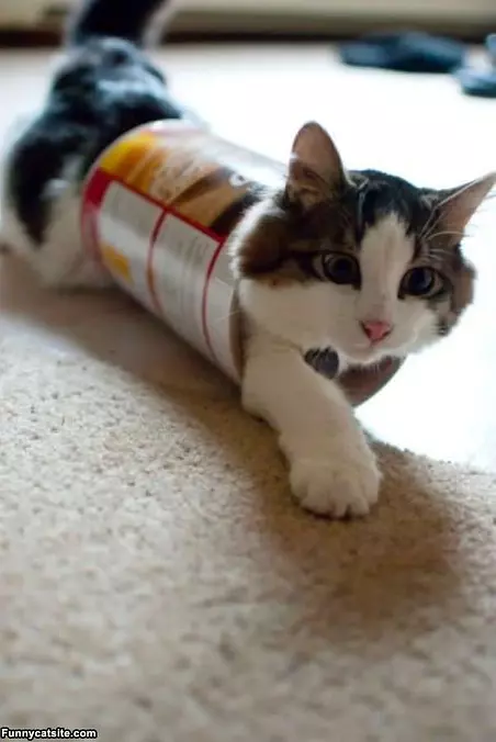 Stuck In This Tube