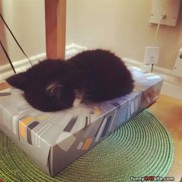 This Is Tiring