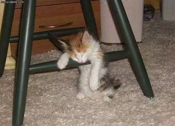 Good Place To Sleep