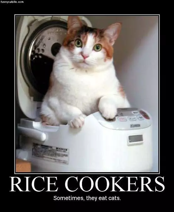 Rice-cooker