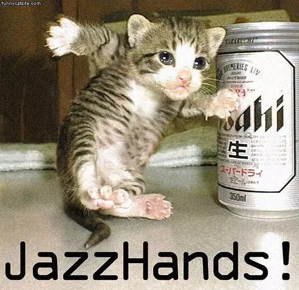 Jazz Hands Cat