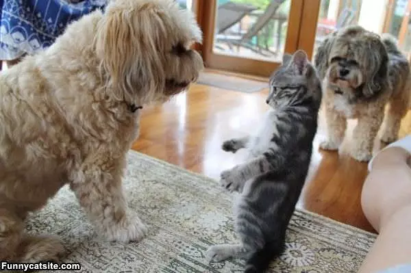 You Back Off Now