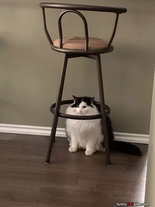 Under My Chair
