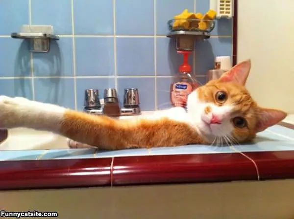 Hey Just Hanging Out