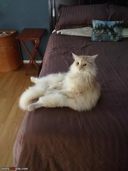 Sitting Up Paying Attention
