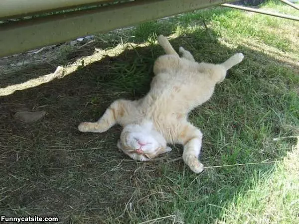 So Super Relaxed