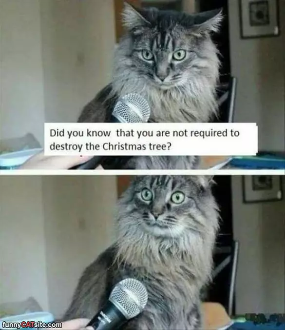 Did You Know
