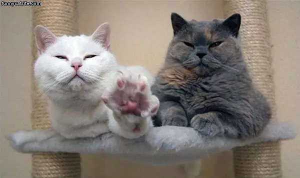 Leave Us Alone