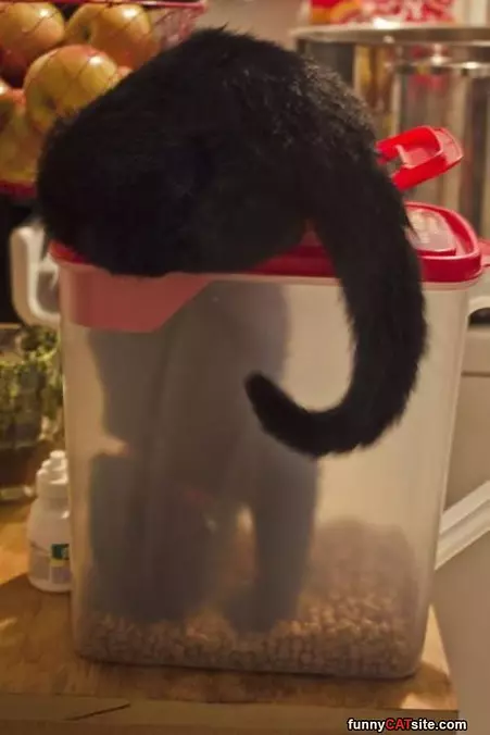 Getting A Snack