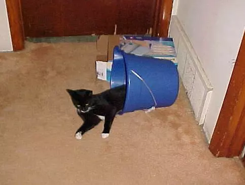 Mah Busket