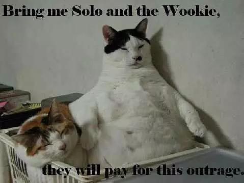 Bring Me A Solo