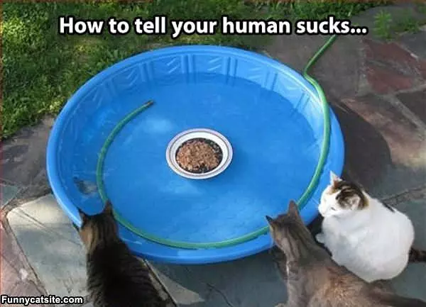 How To Tell
