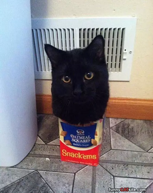Snack Ems