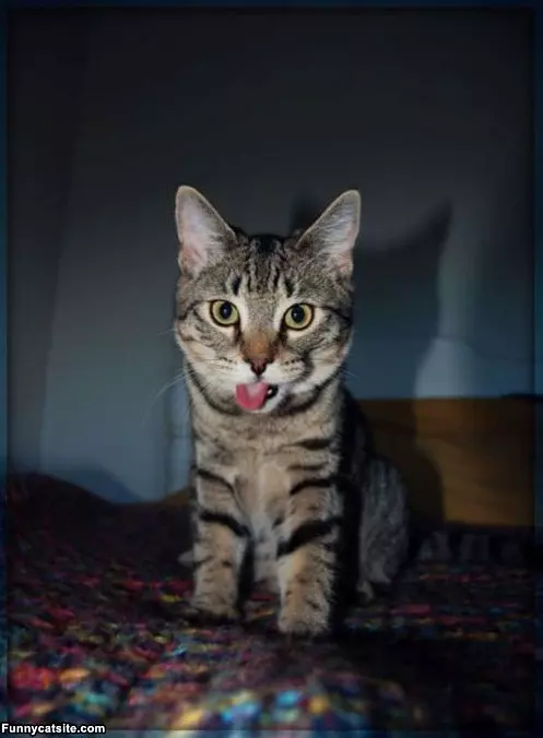 Tongues Out