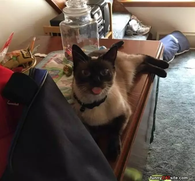 Got My Tongue Out