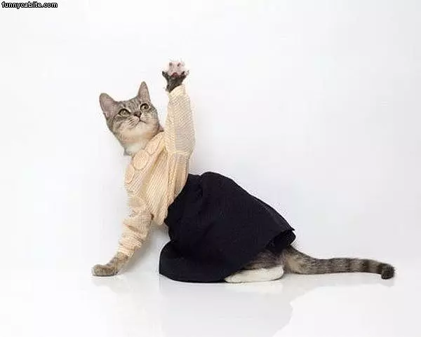 Nice Skirt