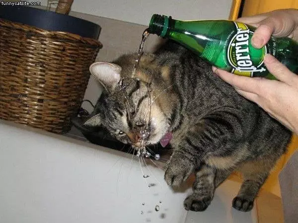 I Love This Drink