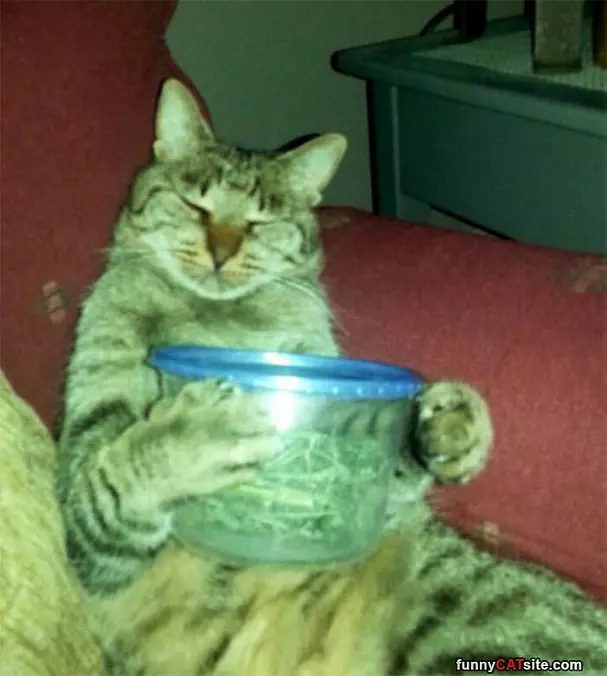 Can You Open This For Me Human