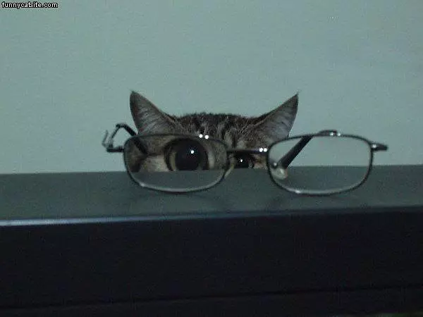 I Spy You