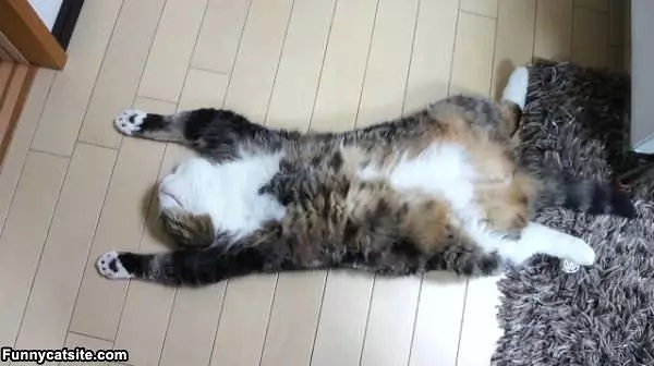 Sleep Where I Want