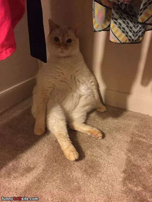 Relaxed In The Corner