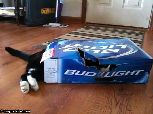 Berk Beer Box