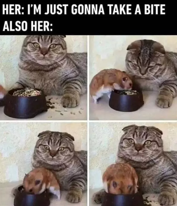 Just Gunna Take A Bite