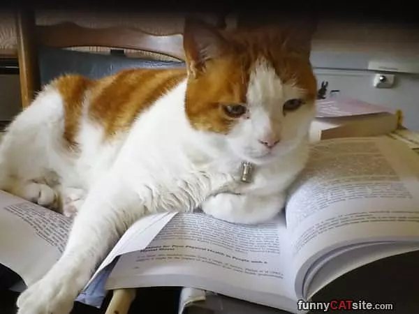 Molly Reading