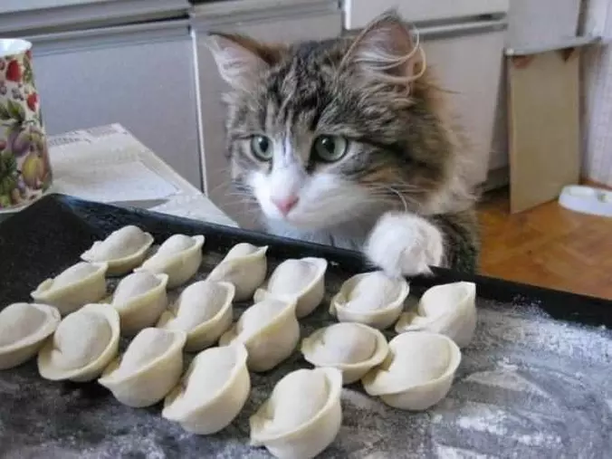 Can I Help With These