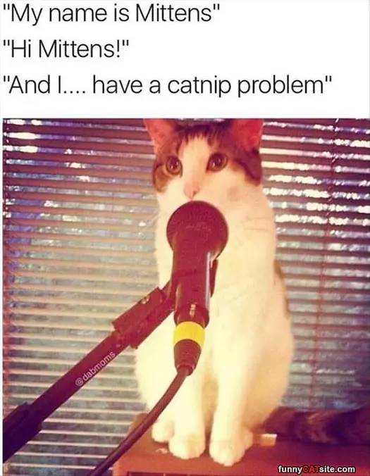 My Name Is Mittens