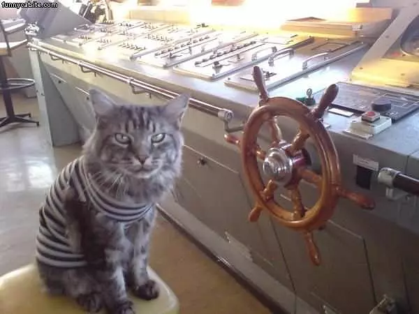 Yarrrr