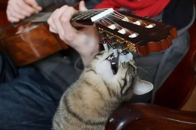 Give Me That Guitar