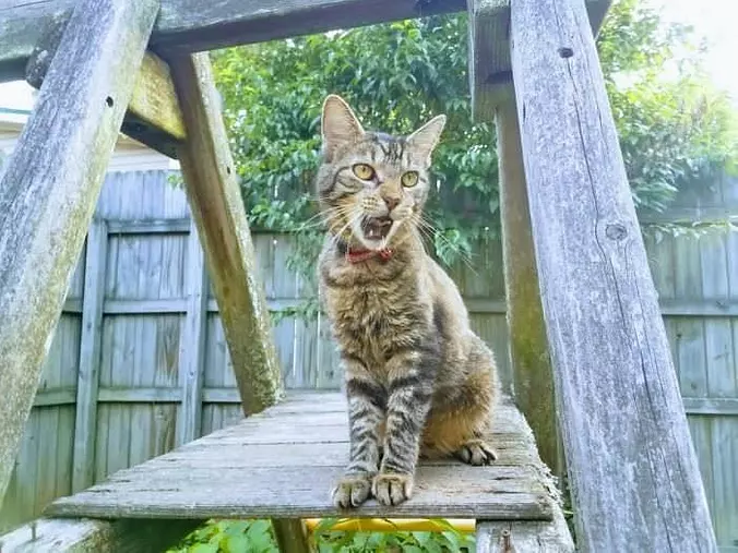 Well Hello There