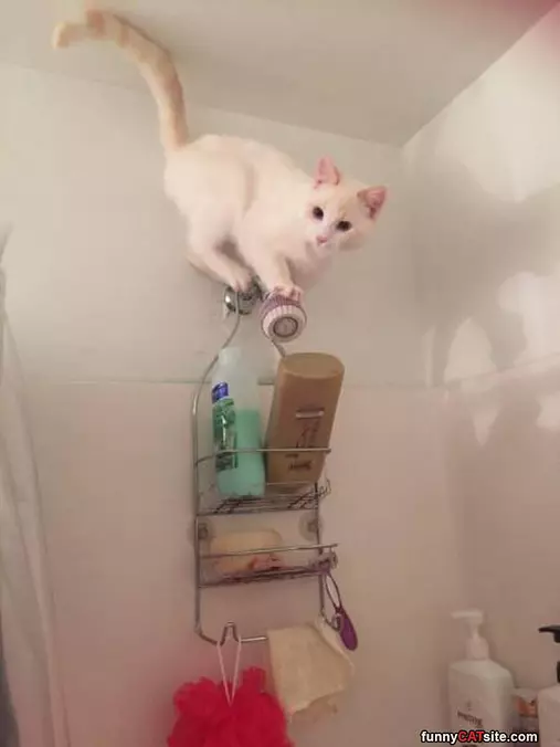 How Does I Shower