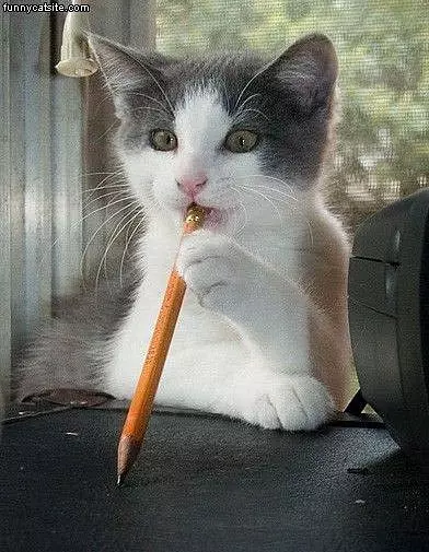 Thinking Deep Thought