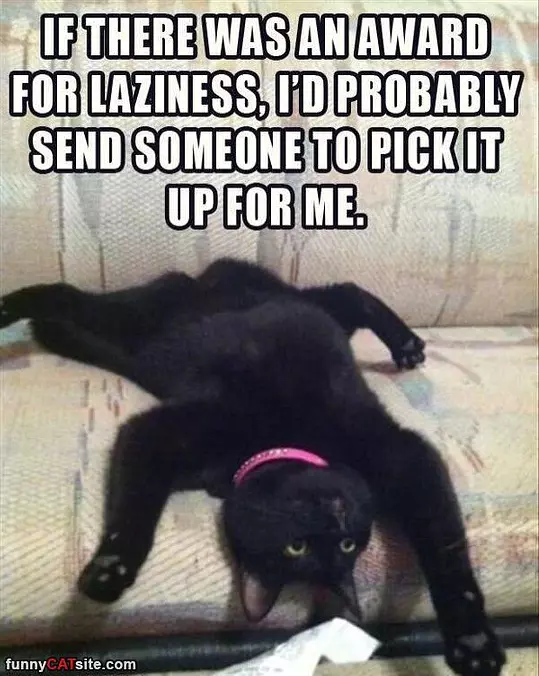 Laziness Award
