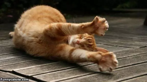 Super Stretch