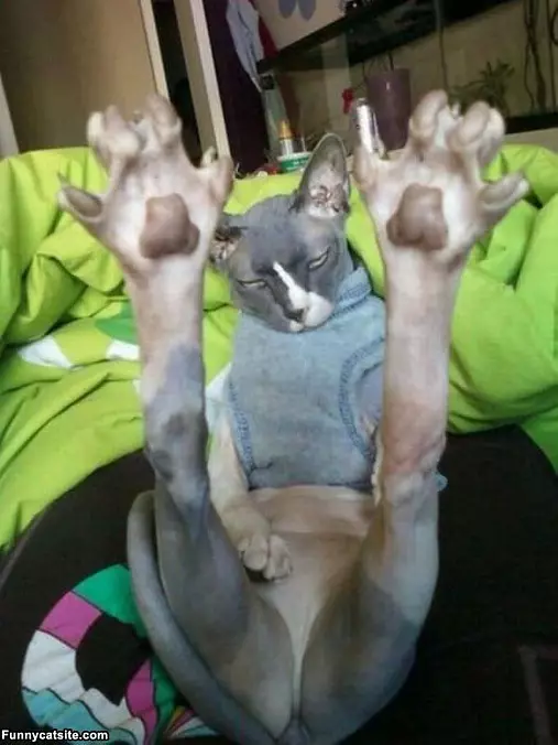 Hanging Around