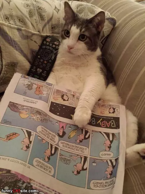 Reading The Funnies