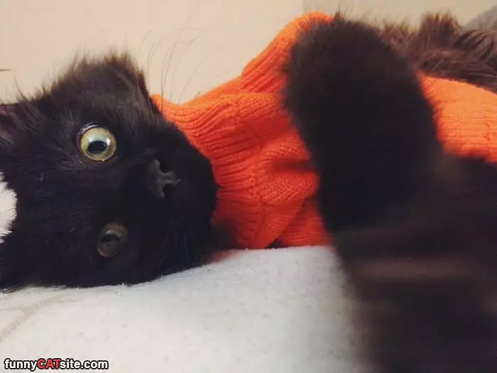 Covered Up And Warm