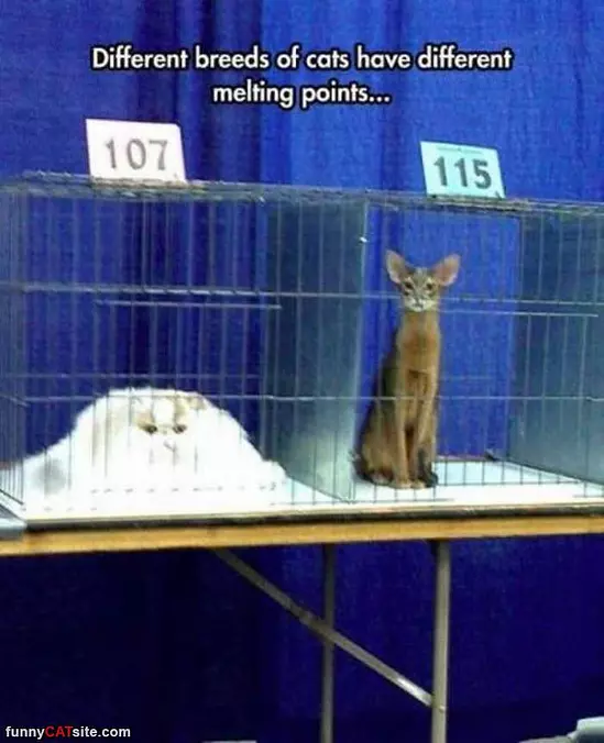 Different Melting Points
