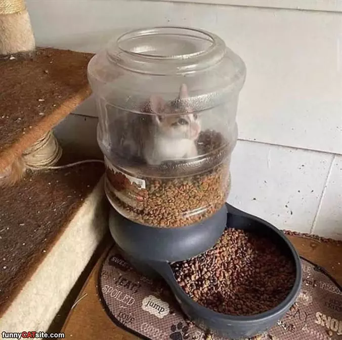 I Live Here Now
