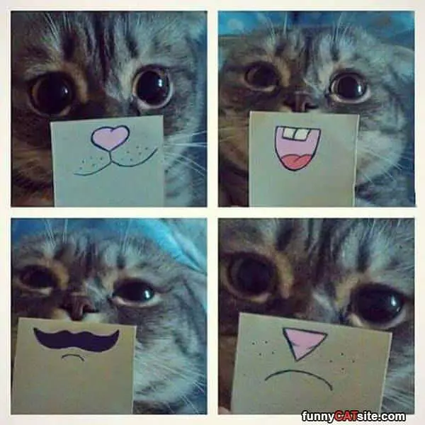 All The Faces