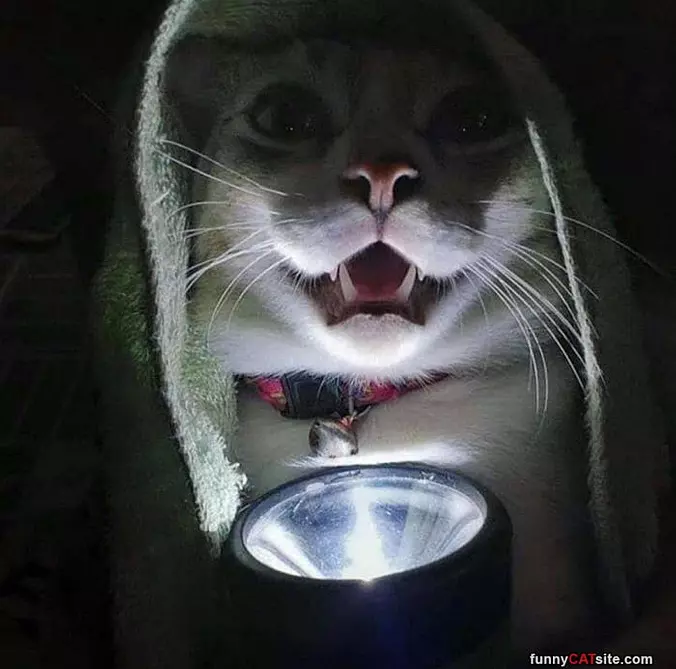 Scary Story
