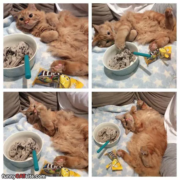 Ice Cream