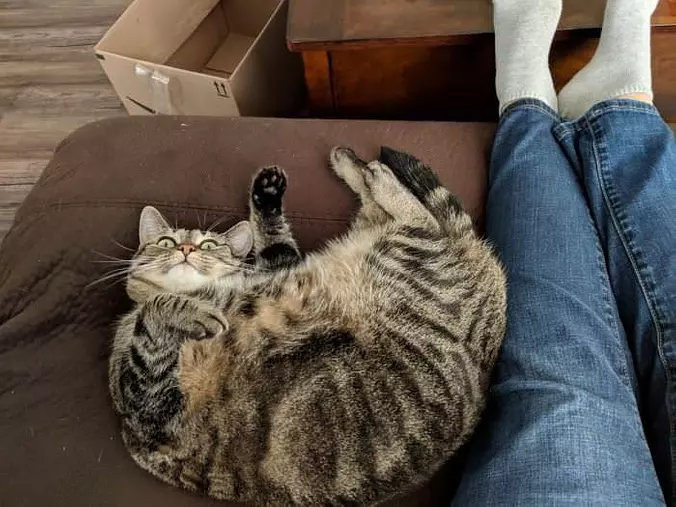 Hey There