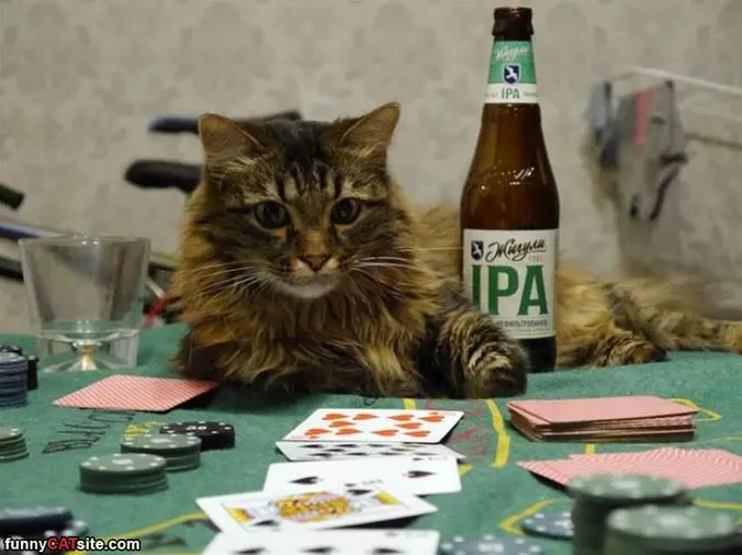 Playing Some Poker