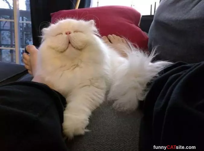Oh Yeaaa Nap Time