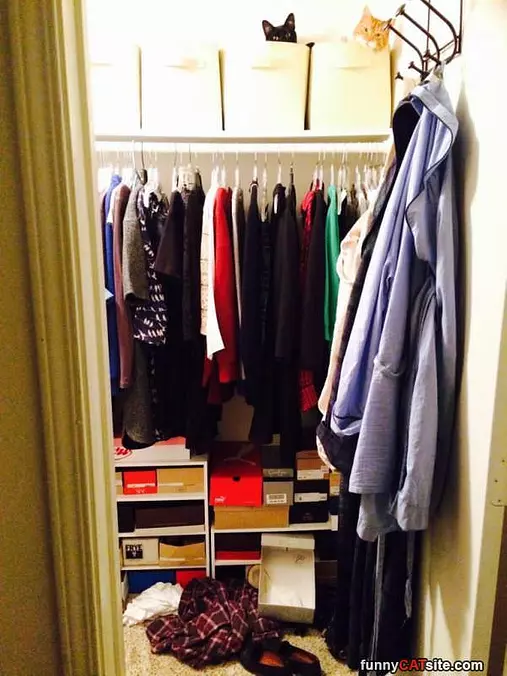 In The Closet