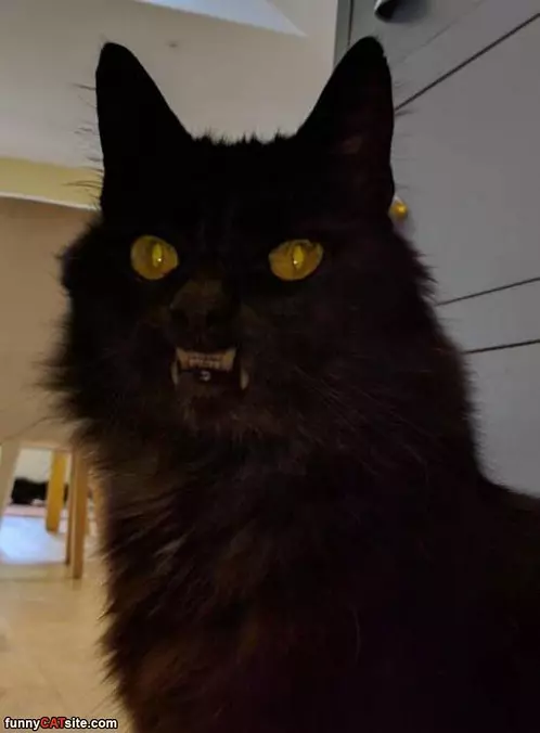That Is An Interesting Face